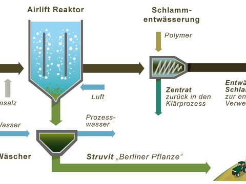 Prozess der gezielten Struvitfällung im Airliftreaktor