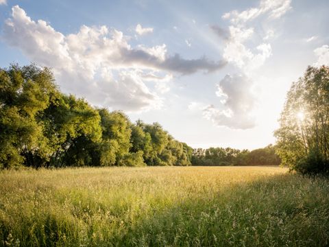 Malchower Auenlandschaft