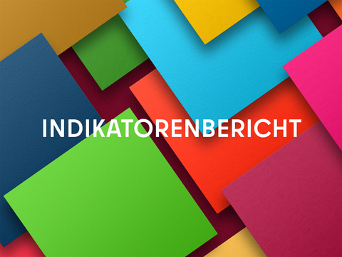Indikatorenbericht