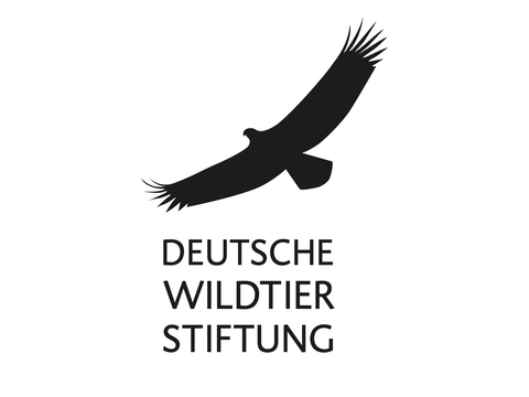 Deutsche Wildtier Stiftung