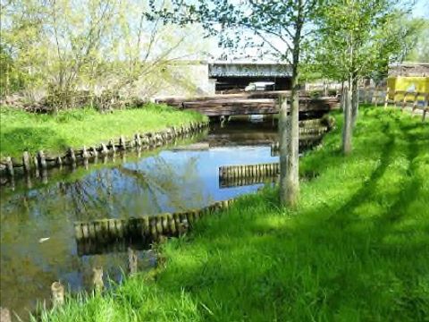 Vegetation an der Erpe im Ortsteil Friedrichshagen mit strömungsabweisenden Palisaden