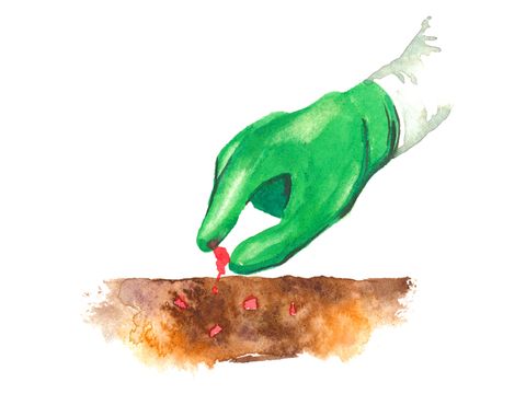 nachsorgender Bodenschutz