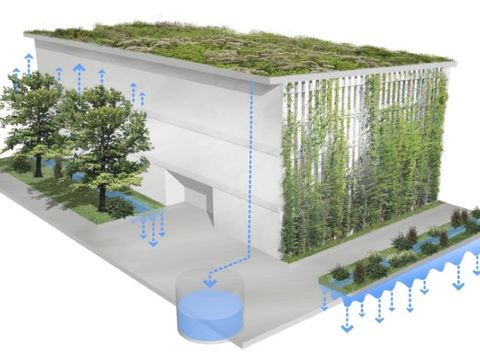 Regenwasserbewirtschaftung