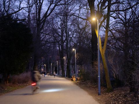 Beleuchteter Weg in der Hasenheide