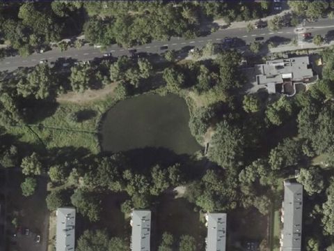 Luftbild: Septimerbecken (Bild: Geoportal Berlin / Digitale farbige TrueOrthophotos 2020 – Sommerbefliegung)