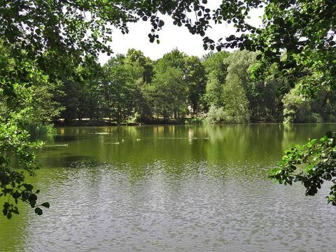 Waldsee (Bild: SenUVK)