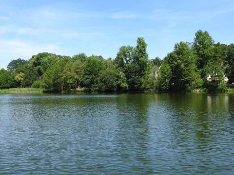 Waldsee (Bild: SenUVK)