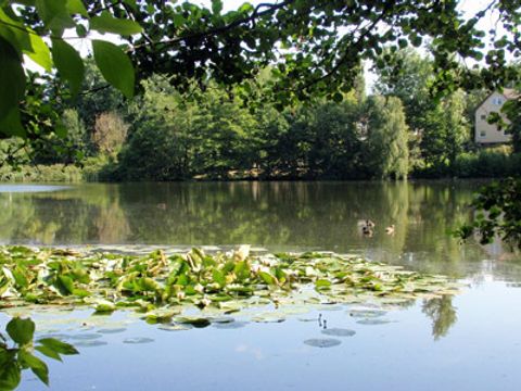 Waldsee (Reinickendorf)