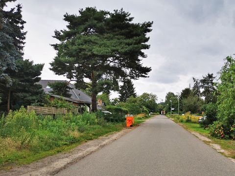 Straße ohne Gehwege in Biesenhorst