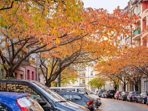 Parken in der Raabestraße (Bild: Dagmar Schwelle)