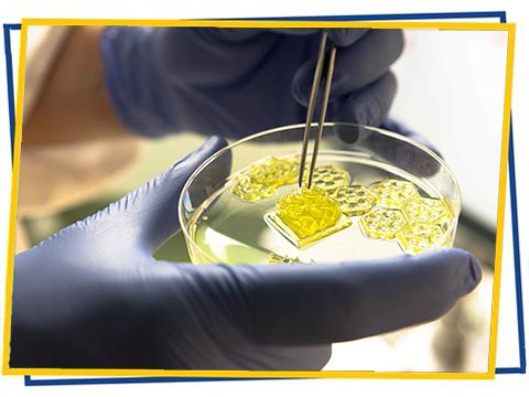 Mittels 3D Bioprinting hergestellte Gewebekonstrukte können verschiedene Designs haben. Modelle im Durchmesser von etwa 6 Millimetern entstehen innerhalb von 5 bis 10 Minuten.