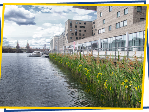 Eine Fotomontage von einer Spundwand an der Berliner Spree und einem Bepflanzungssystem.