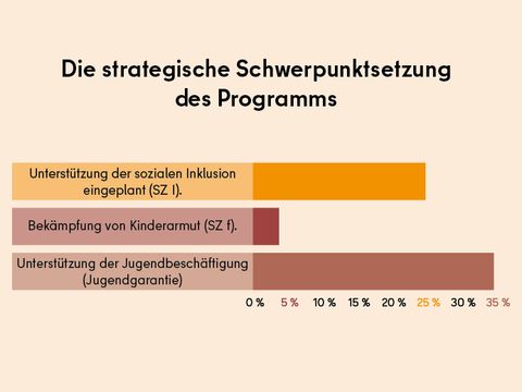 Die strategische Schwerpunktsetzung des Programms