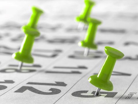 Grüne Nadeln auf Zahlen in einem Kalender