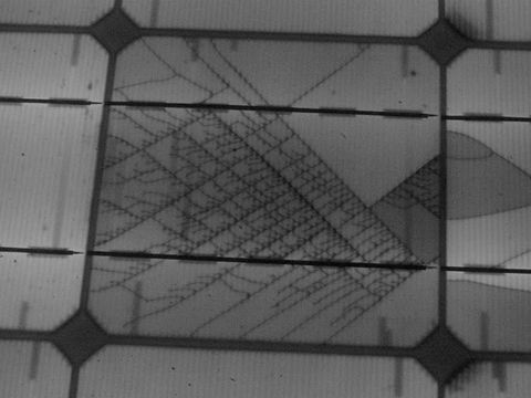 Elektrolumineszenz: Die feinen Haarrisse in dieser Solarzelle deuten auf Zermürbung hin.