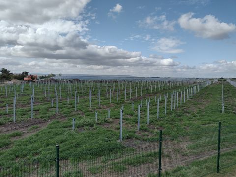 Beginn des Baus eines Naturstrom Solarparks, Feld mit Unterkonstruktion