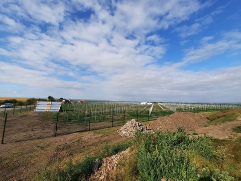 Naturstrom Solarpark