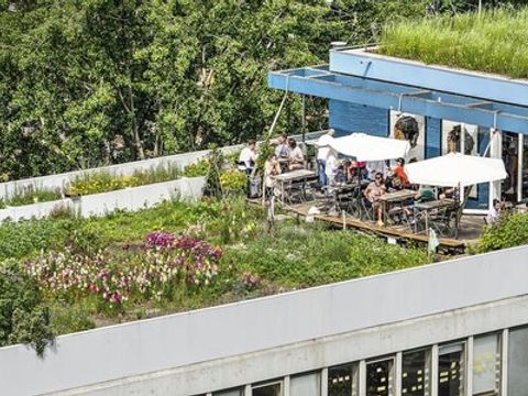 Dachgarten, begrüntes Dach mit Sonnenschirmen