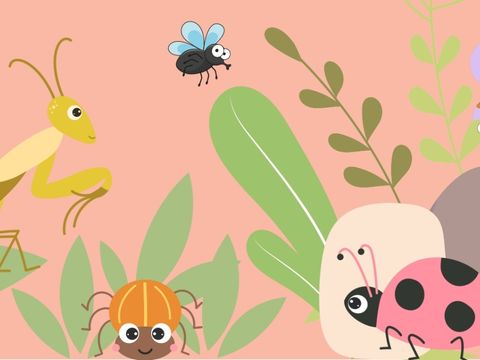 Illustration von verschiedenen Insekten mit Pflanzen und Steinen.