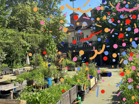 Aufnahme von einem Gemeinschaftsgarten, auf die digitales Konfetti gelegt ist.