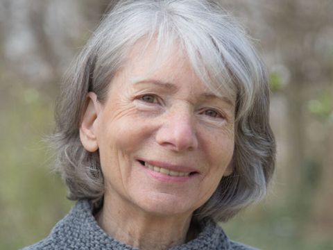 Gabriele Groll