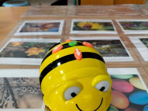 Bee Bot
