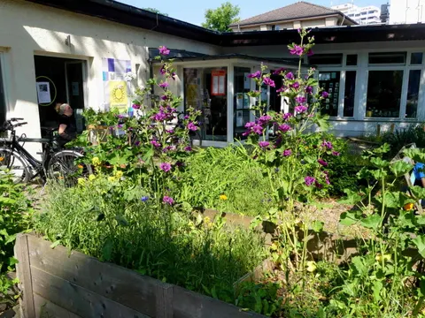 Blühstreifenmischungen