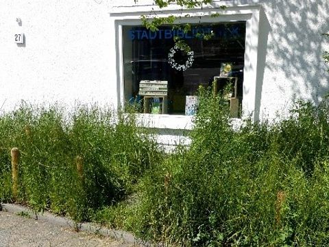 Ruderalfläche/Spontanbegrünung