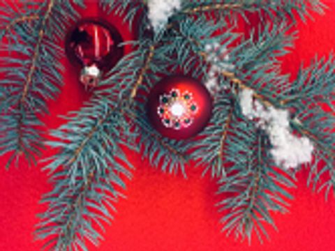 Adventskalender