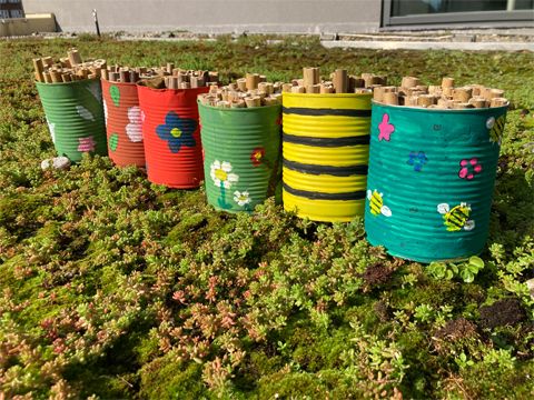 Neue Wohnungen für Insekten - gestaltet von unseren Azubis