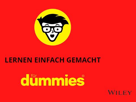 Lernen einfach gemacht für Dummies