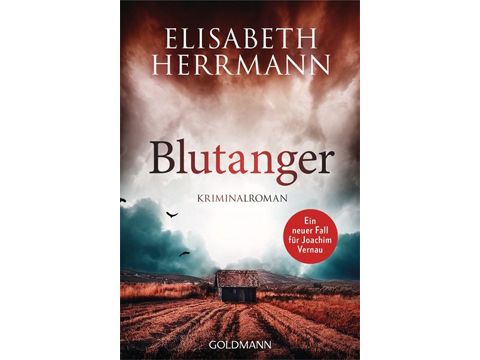 Cover: Elisabeth Herrmann "Blutanger"