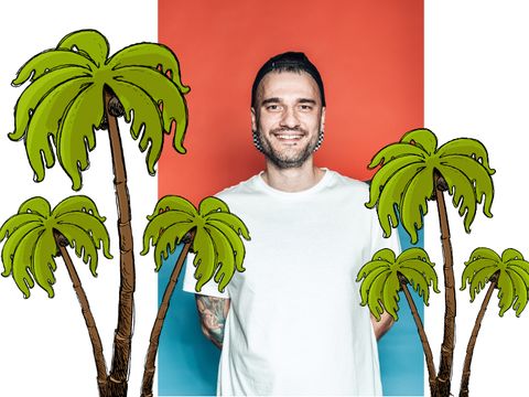 Foto von ANTON - im Vordergrund Palmen als Grafik