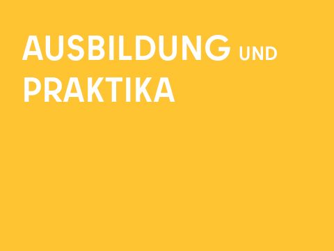 Grafik einfarbig mit Schrift: Ausbildung und Praktika