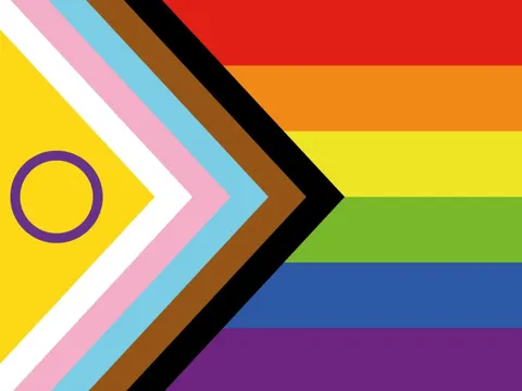2 Queer-Pride-Fahne (die Version "Intersex-inclusive Progress Pride Flag")
