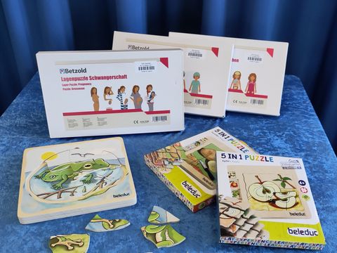 Lagenpuzzle mit Forschmotiv