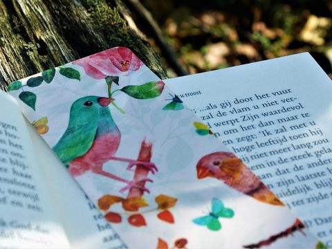 Lesezeichen im Buch