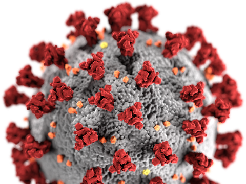Bild von SARS-CoV-2 Virus