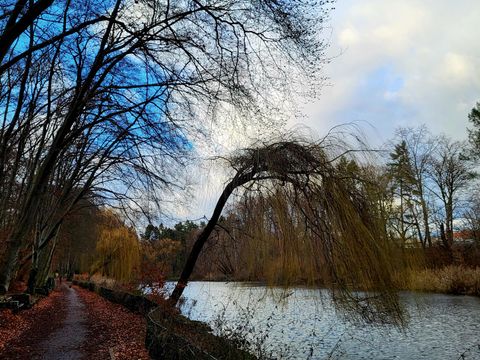 Möwensee Januar 2023