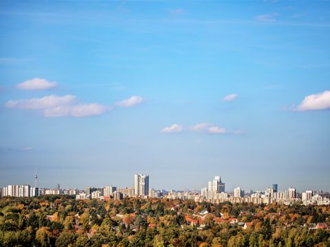Aussicht auf Berlin. Im unteren Bildteil Bäume im Hintergund Häuser und der Fernsehturm.