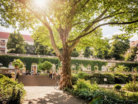 Ein großer Baum in der mitte des Bildes. Links vom Baum befindet sich ein Kieselweg. Rechts und links davon Rabatten. Im Hintergrund ein Laubengang. Die Sonne scheint.