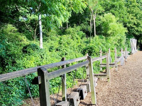 Eine hölzerne Balancierstation. Links viele grüne Büsche