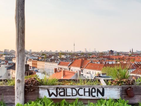 Klunkerkranich