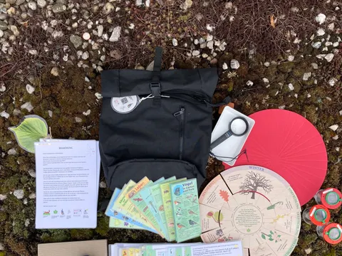 Naturentdecker-Rucksack. Viele bunte Karten, ein schwarzer Rucksack