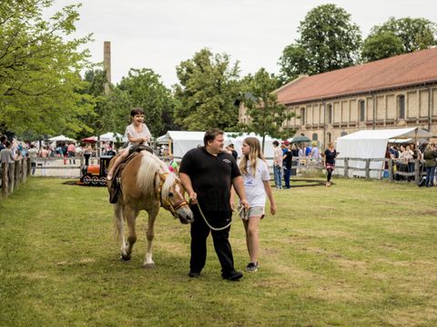 Auf einer grünen Wiese ist ein braunes Pony mit einer blonden Mähne zu sehen. Das Pony wird von einem Mann am Halfter geführt. Der Mann hat eine schwarze Hose und ein schwarzes T-Shirt an. Auf dem Rücken des Ponys sitzt ein kleines Mädchen. Rechts neben dem Pony läuft eine Frau mit. Im Hintergrund ist ein gelbes Backsteinhaus auf der rechten Seite zu sehen mit einem Dach mit roten Ziegeln.