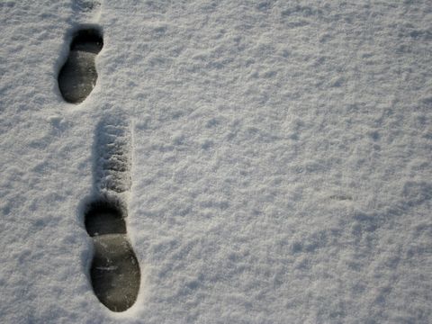 Spuren im Schnee