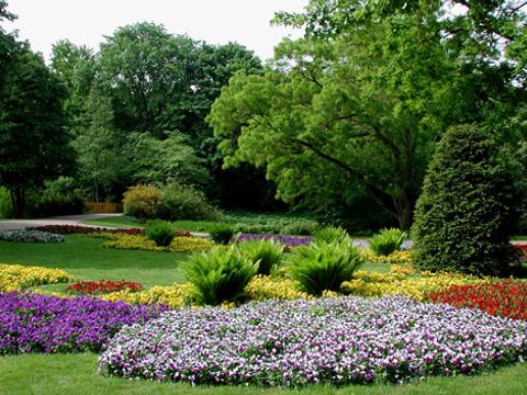 Grosser Tiergarten Bäume Pflanzen Blumen
