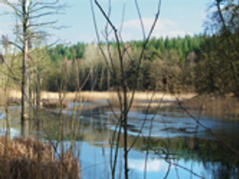 Naturschutzgebiet