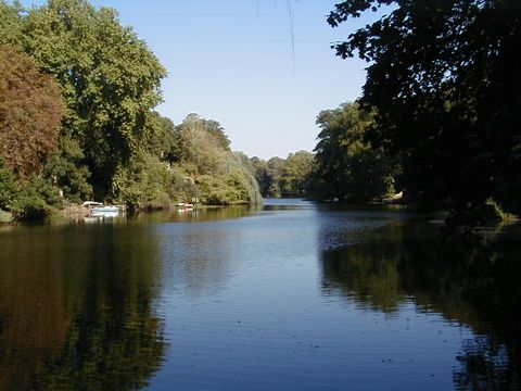 dekorativ