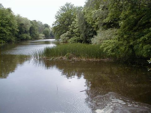 dekorativ